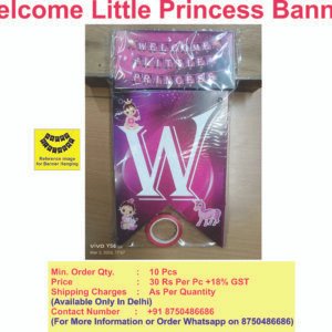 Welcome Little Princess Banner